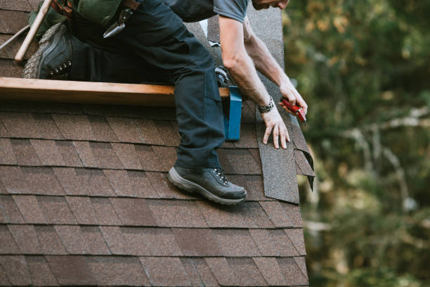 Best Sealant for Roof  in Burns, OR